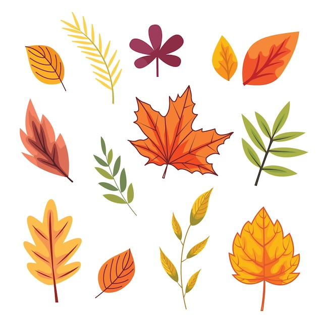 Vector herfstbladeren set collecties, vectorillustratie