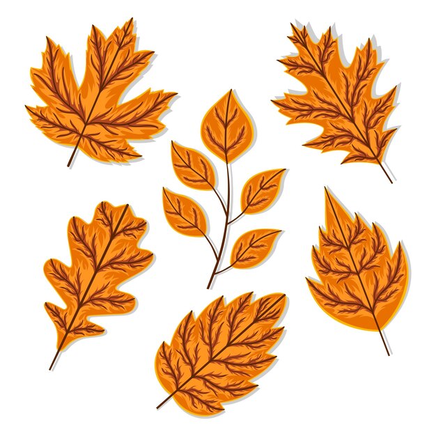 Herfstbladeren vector pack