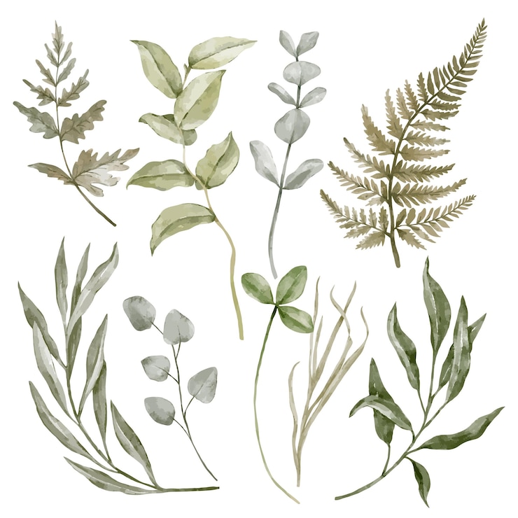 Vector herfstbloemen en groene bladeren