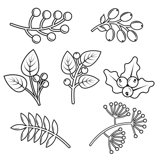 Herfstplanten doodle elementen Contourelementen van de plant in de herfst Vector graphics