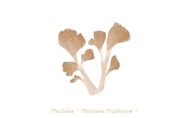 Herfstsmaak eenvoudige illustratie van paddenstoelen MaitakexAVectorillustratie