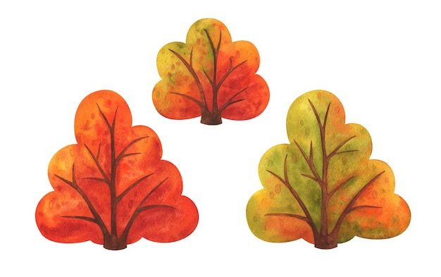 Vector herfststruik aquarel clipart illustratie van een struik met geel groen oranje blad een plant voor het herfstlandschap van het park en bos geïsoleerde handgeschilderde tekening