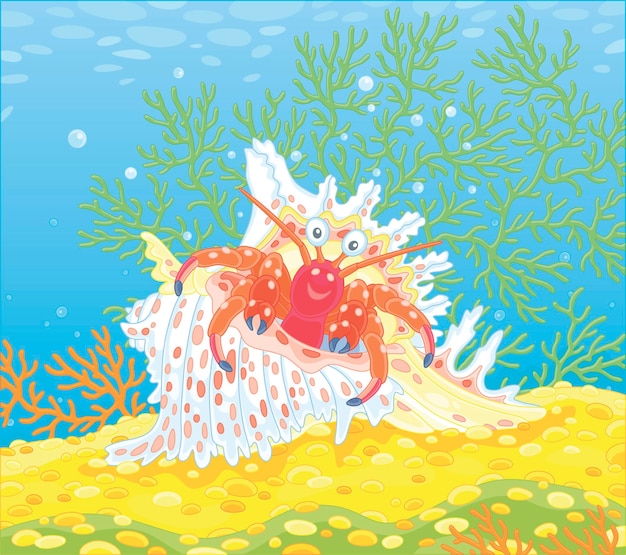 南の海の熱帯のサンゴ礁に明るいスポットがある派手な貝殻のヤドカリ