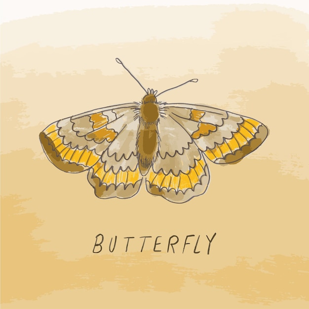 Vettore hermosa ilustración de una mariposa estilo acuarela
