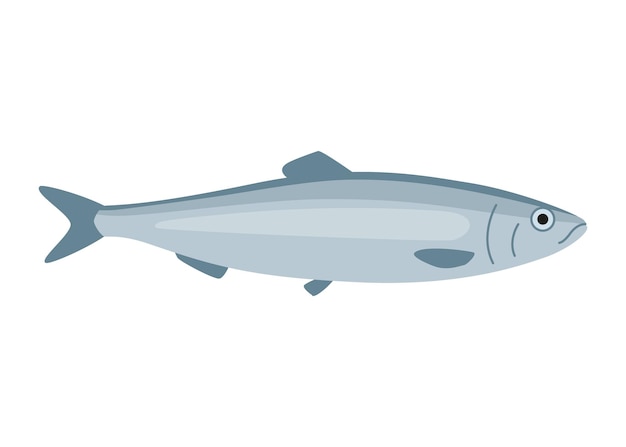ニシン魚 clupea harengus シーフード水珍味グルメ釣り分離ベクトル図