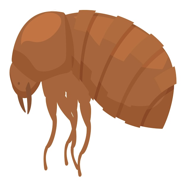 Het bruine vlooieninsect kruipt met zijn grote benen.