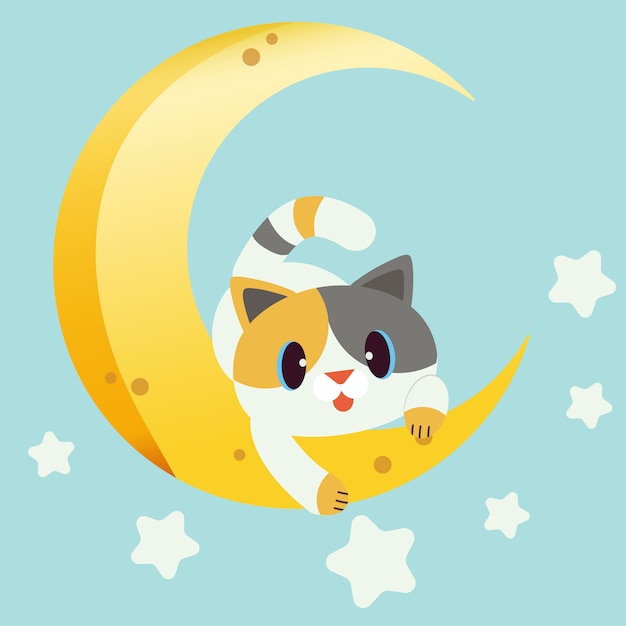 Het karakter van schattige kat zittend op de maan.