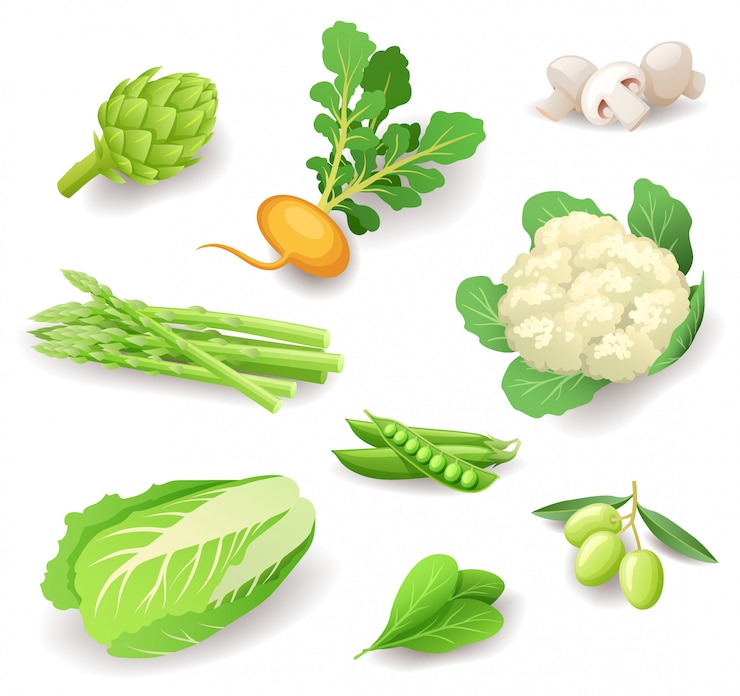 Vector het pictogramreeks van verse biologische groenten, gezond voedsel, artisjok, raap, paddestoelen, asperges, bloemkool, erwten, olijven, chinese kool, spinazie, illustratie.