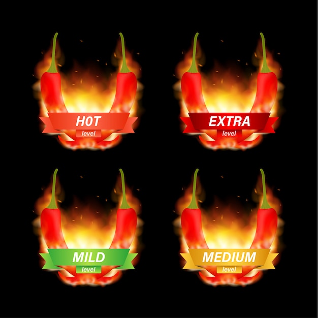 Vector hete rode sterkteschaalindicator met milde, gemiddelde, hete en helposities. vector illustratie