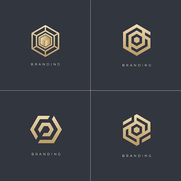 Hexagon Digital Marketing Trading Networking Vector Logo Concept