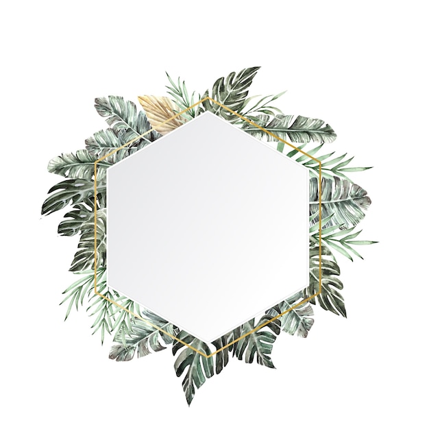 Vector hexagon frame watercolor tropical leaves vector illustration