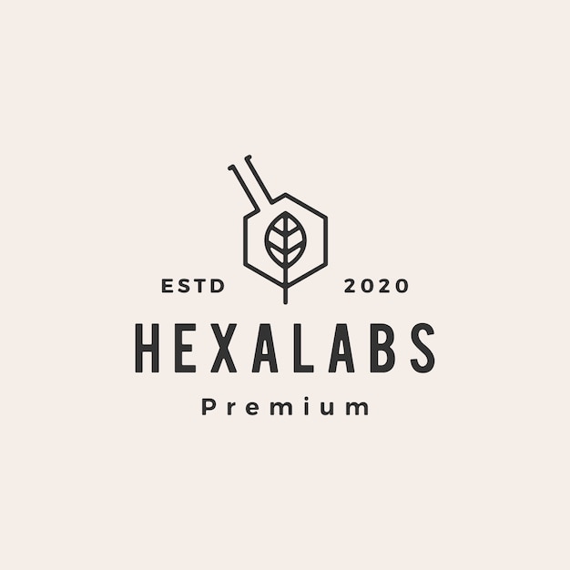 Hexagon leaf lab labs hipster vintage logo  icon illustration