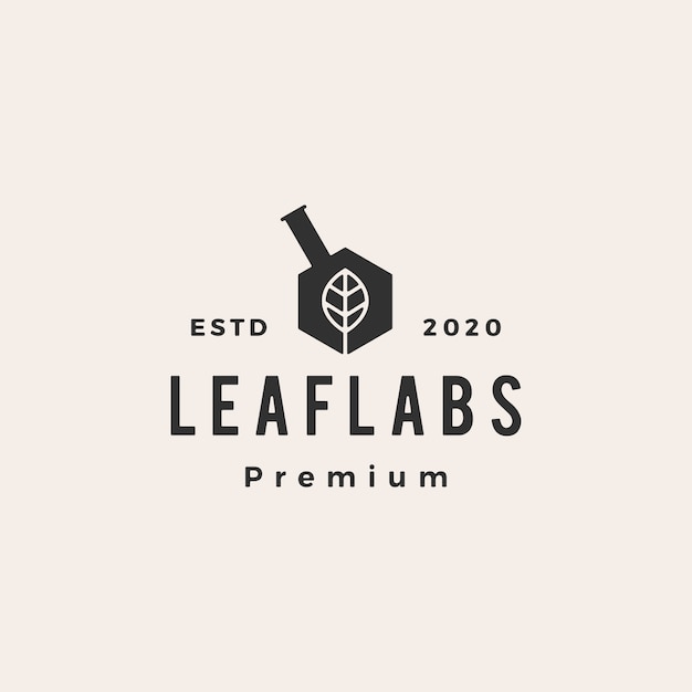 Hexagon leaf lab labs hipster vintage logo  icon illustration