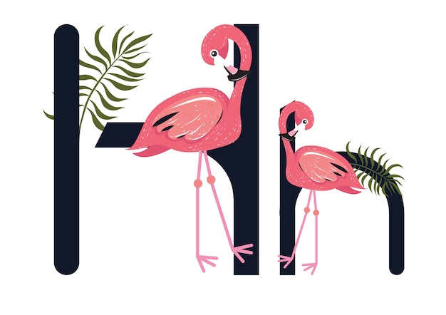 Hh flamingo's