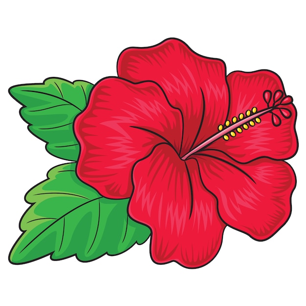 Hibiscus flower cartoon