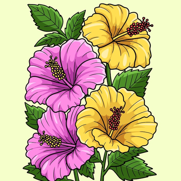 Hibiscus Flower Colored Cartoon Illustration