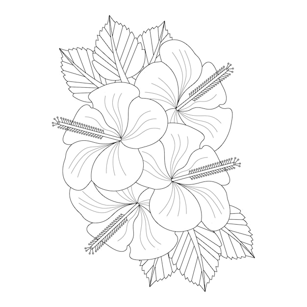 Vector hibiscus flower coloring page of book doodle line art flower sketch with vector graphic