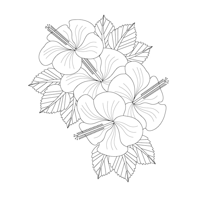 Hibiscus flower coloring page of book doodle line art flower sketch with vector graphic