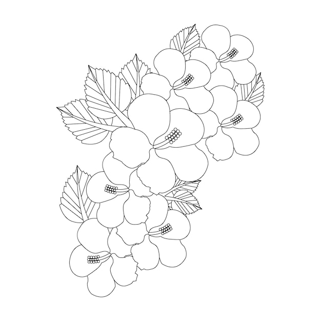 Vector hibiscus flower coloring page with line art flower sketch vector illustration