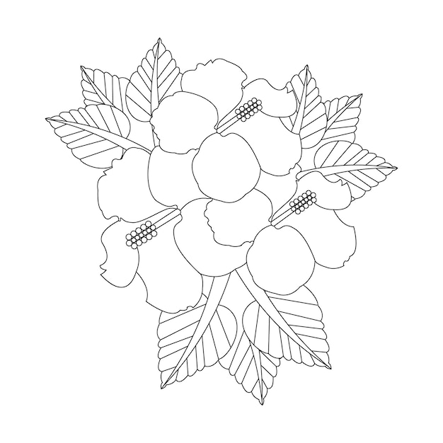 Hibiscus flower coloring page with line art flower sketch vector illustration