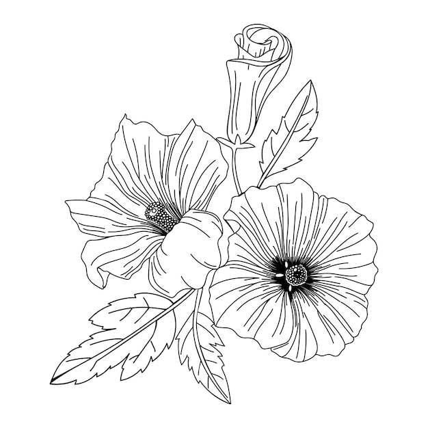 Vector hibiscus flower illustration