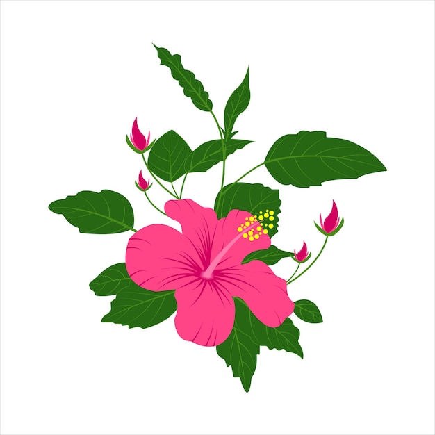 Hibiscus flower pink color floral vector in illustration