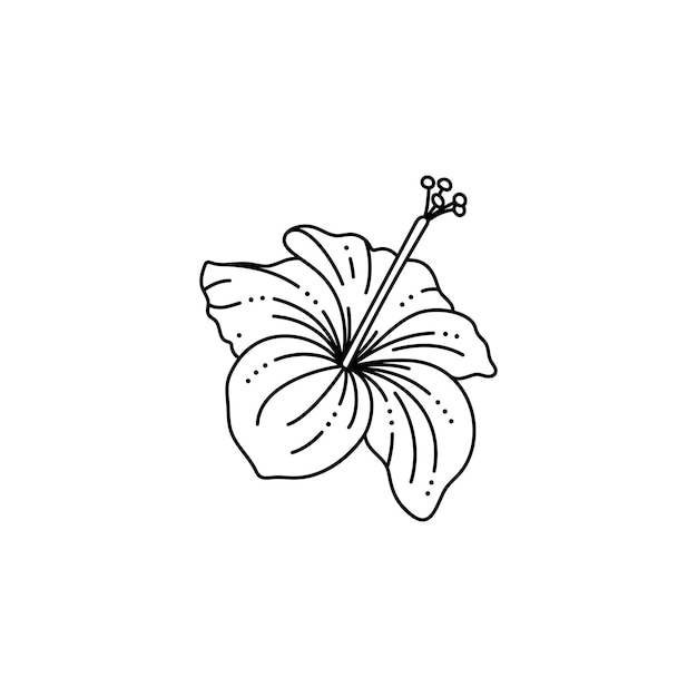 Vector hibiscus flower in a trendy minimalist liner style. vector tropical flower illustration for printing on t-shirt, web design, beauty salons, posters, creating a logo and other