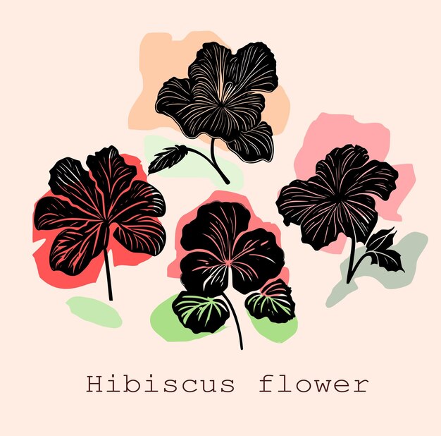 Vector hibiscus flower tropical exotic black engraving tattoo silhouette set drawing illustrationhawaiian