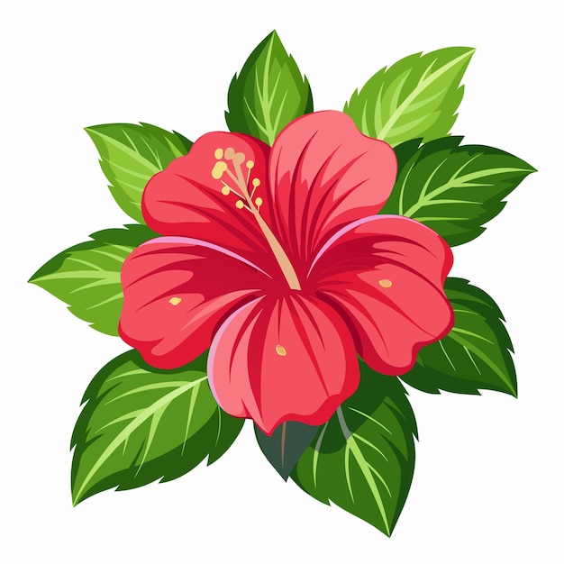 a hibiscus flower vector art illustration 2