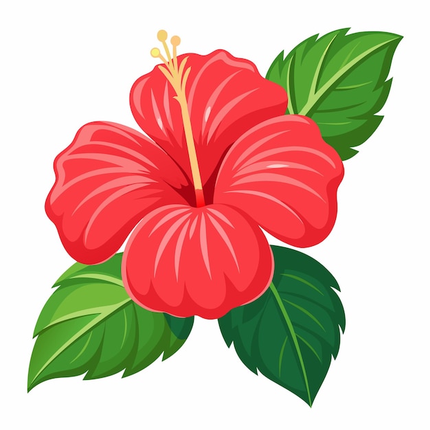 Vector a hibiscus flower vector art illustration 7