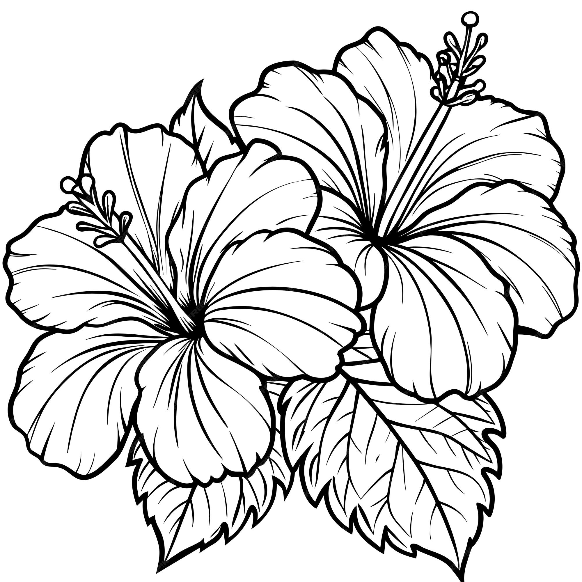 Premium vector hibiscus flower vector illustration