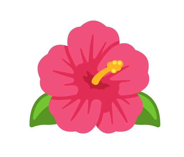 Hibiscus flower vector isolated icon. Emoji illustration. Hibiscus vector emoticon