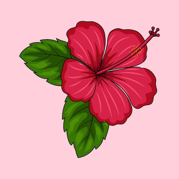 Vector hibiscus flower