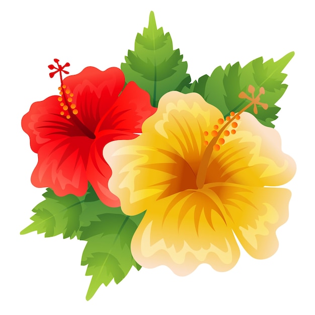 Vector hibiscus flower