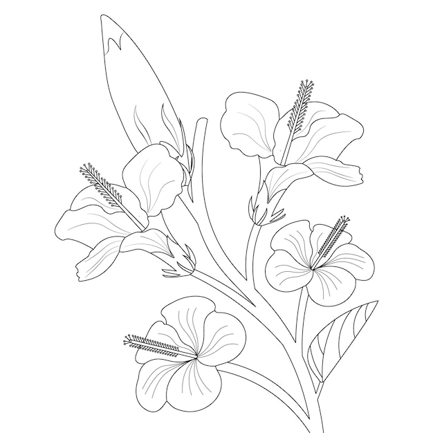 Hibiscus Flowers Coloring Page And Line Art Design