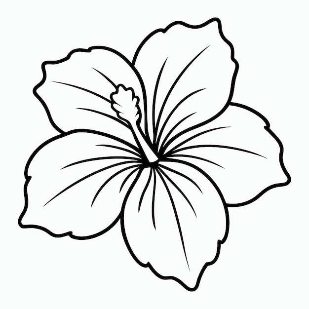 ヒビスカス シルエット ベクトルイラスト