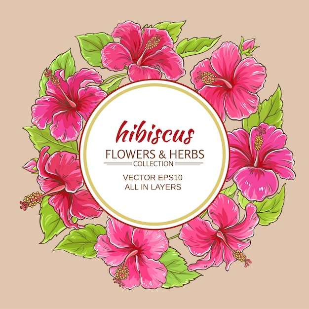 Vector hibiscus vector frame