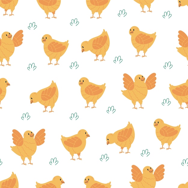 Vector hicks birds farm animal seamless pattern abstract concept graphic design illustration