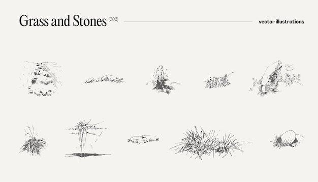 High detail hand drawn vector illustration of grass and stones realistic drawing sketch