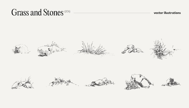草や石のリアルな描画スケッチの高詳細手描きベクトル イラスト