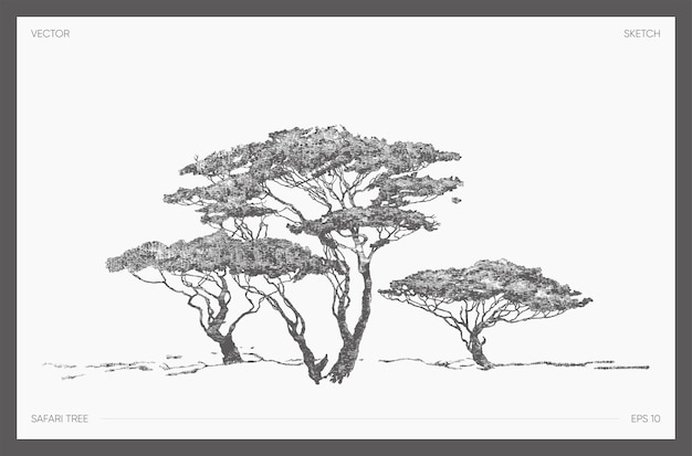 Высокодетальная ручная рисованная векторная иллюстрация сафари-дерева