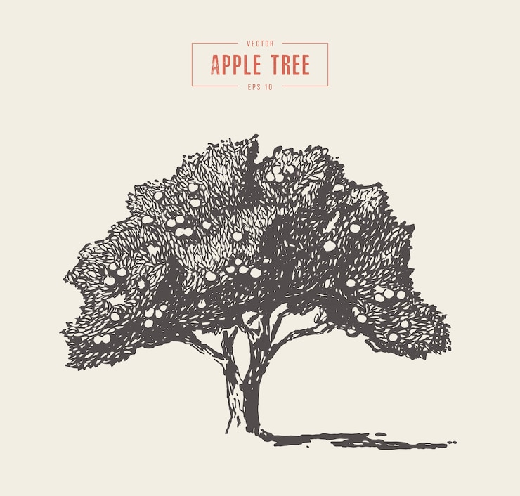 Vector high detail vintage vector illustration of an apple tree