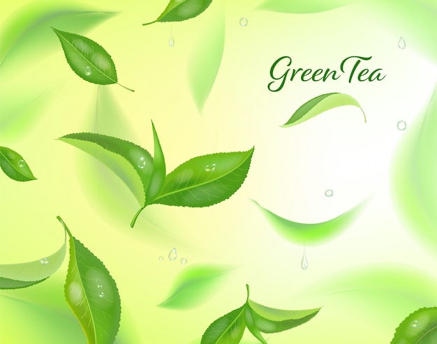 High detailed background with green tea leaves in motion. blurred tea leaves.