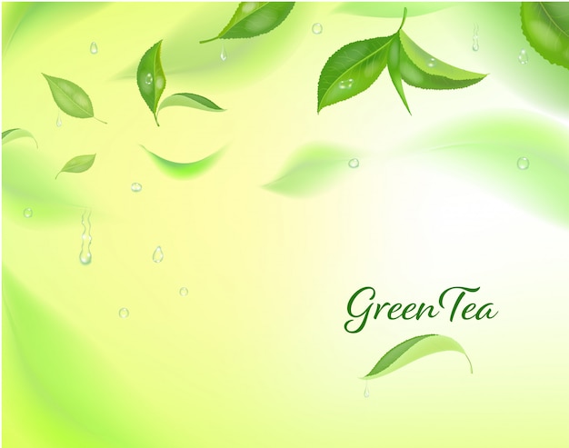 высокий подробный фон с листьями зеленого чая в движении. Затуманенное чайные листья.