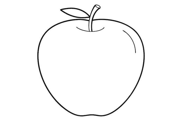 Vector high quality apple vector illustration