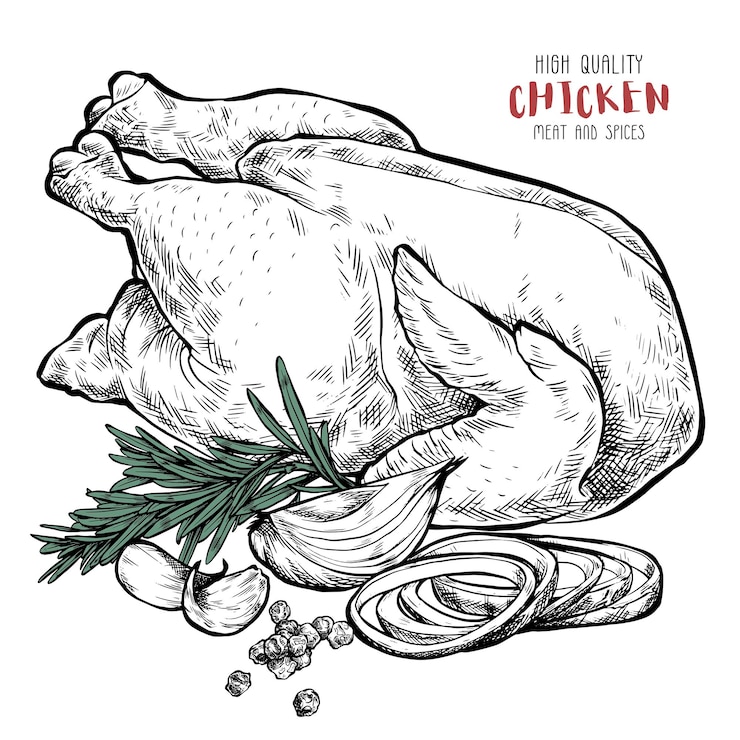 Vector high quality chicken drawing in engraving style cutting meat with spices culinary illustration