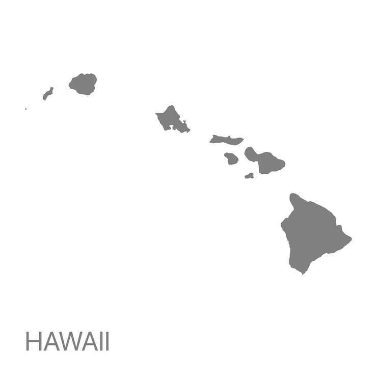 Vector high quality detailed map hawaii