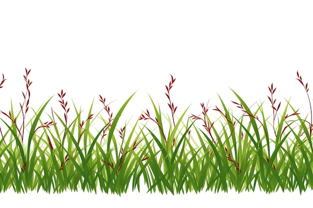 Vector high quality green grass on white background seamless vector illustration