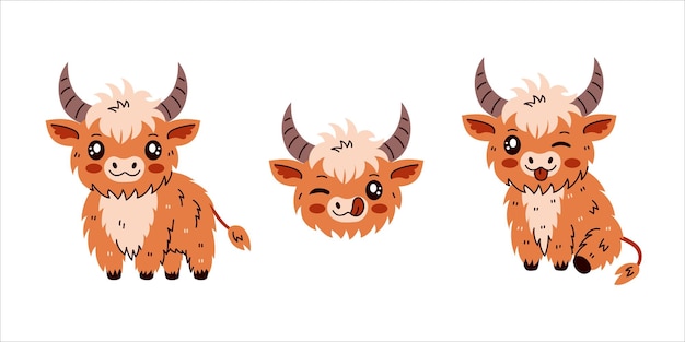 Highland Cattle Cow set