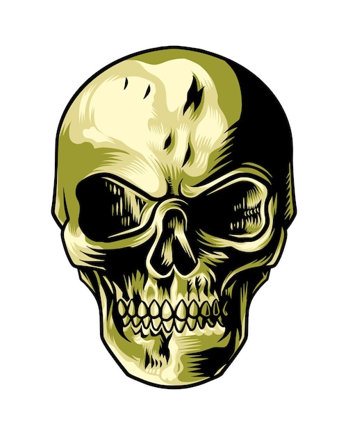 Highly detailed symmetrical skull head illustration